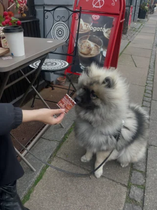 Virkelig nuttede og smukke gæster 😱🩷🥰